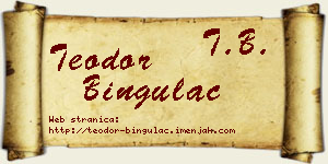 Teodor Bingulac vizit kartica